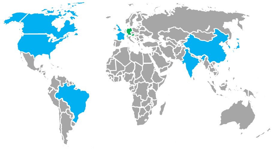 DVKG globales Netzwerk